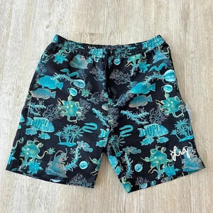 Mens LRG Swim Trunks - M